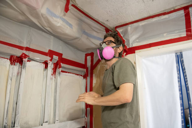 Best Water Damage & Mold Remediation  in Sumiton, AL