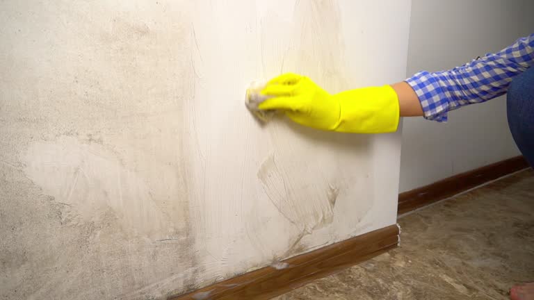 Mold Remediation for Vacation Homes in Sumiton, AL