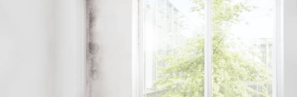Best Biohazard Mold Removal  in Sumiton, AL