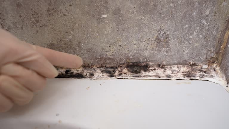 Best Airborne Mold Testing  in Sumiton, AL
